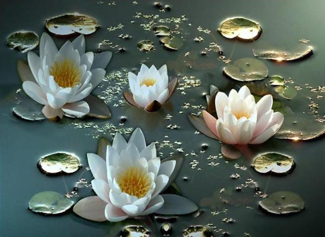 Inedit :) - nuferiindeltadunariibig.jpg